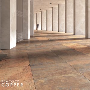 STARGRES Star 3.0 PEACOCK